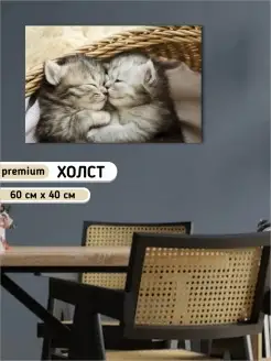 Картина котята