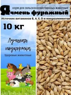 Ячмень фуражный кормовой