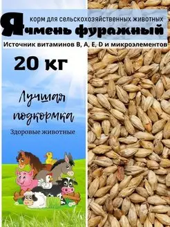 Ячмень фуражный кормовой