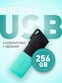 Флешка USB 3.2 256 ГБ DataTravele Exodia M