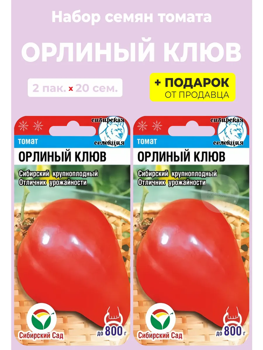 Сорт Помидоров Орлиный Клюв Отзывы Фото