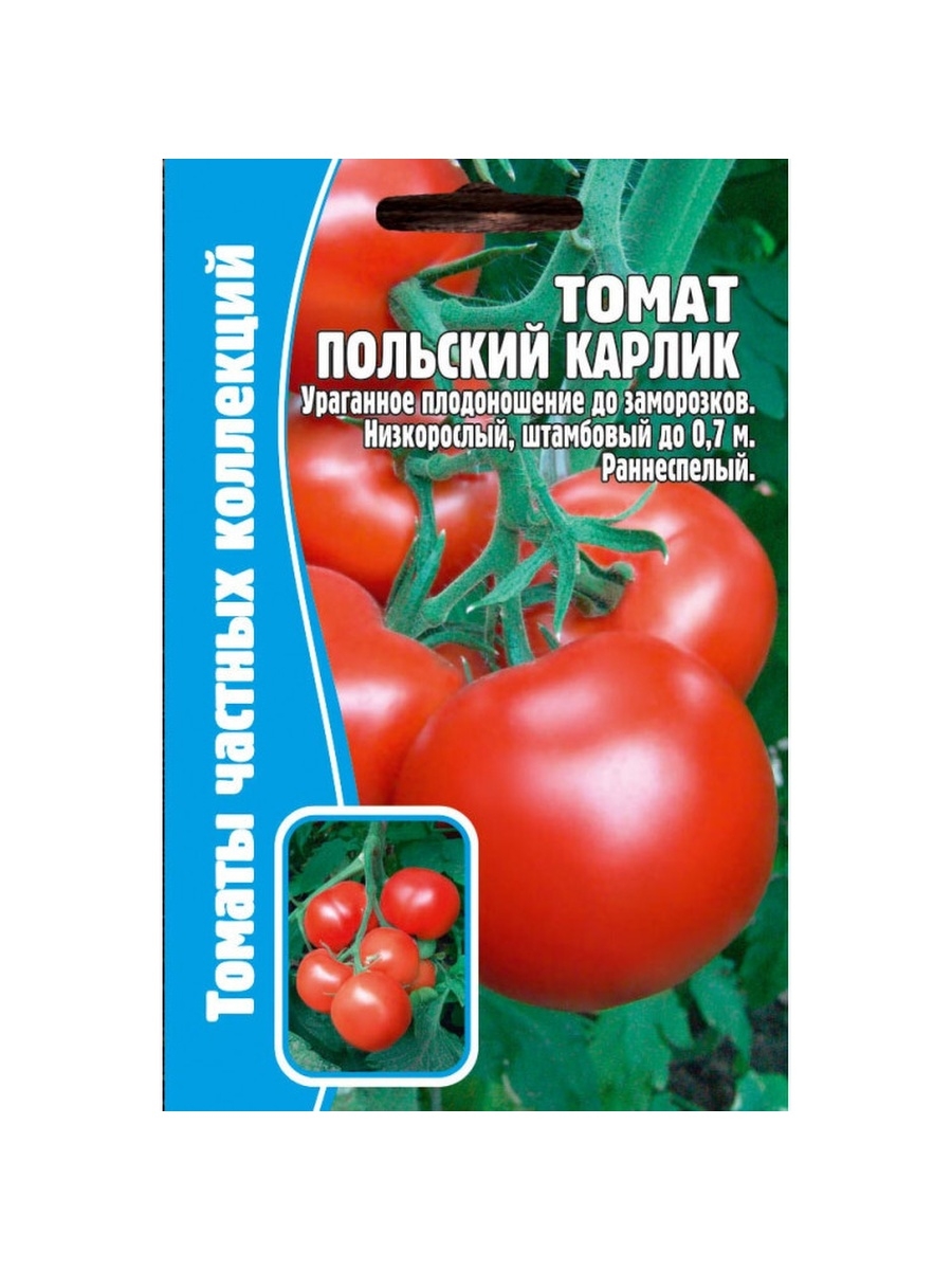 Семена томат польский карлик