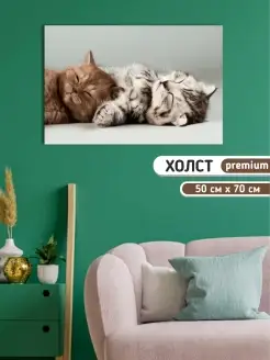 Картина спящие котята