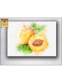 Картина на холсте apricots watercolor 50х70