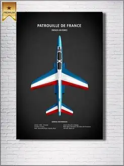 Картина на холсте Patrouille De France 40х60