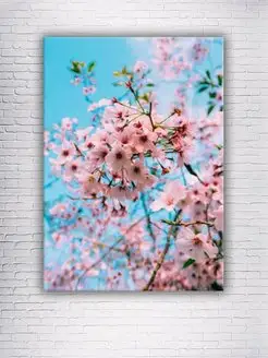 Картина на холсте Cherry Blossoms Up Close 20х30