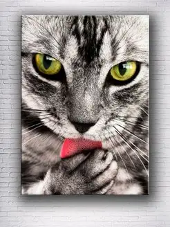 Картина на холсте cute cat green eyes poster 30х40