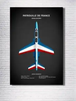 Картина на холсте Patrouille De France 40х60