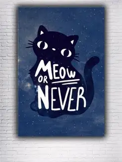 Картина на холсте Meow or never котик 30х40