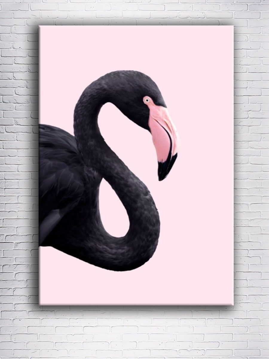 Арты черное Фламинго с белыми глазами