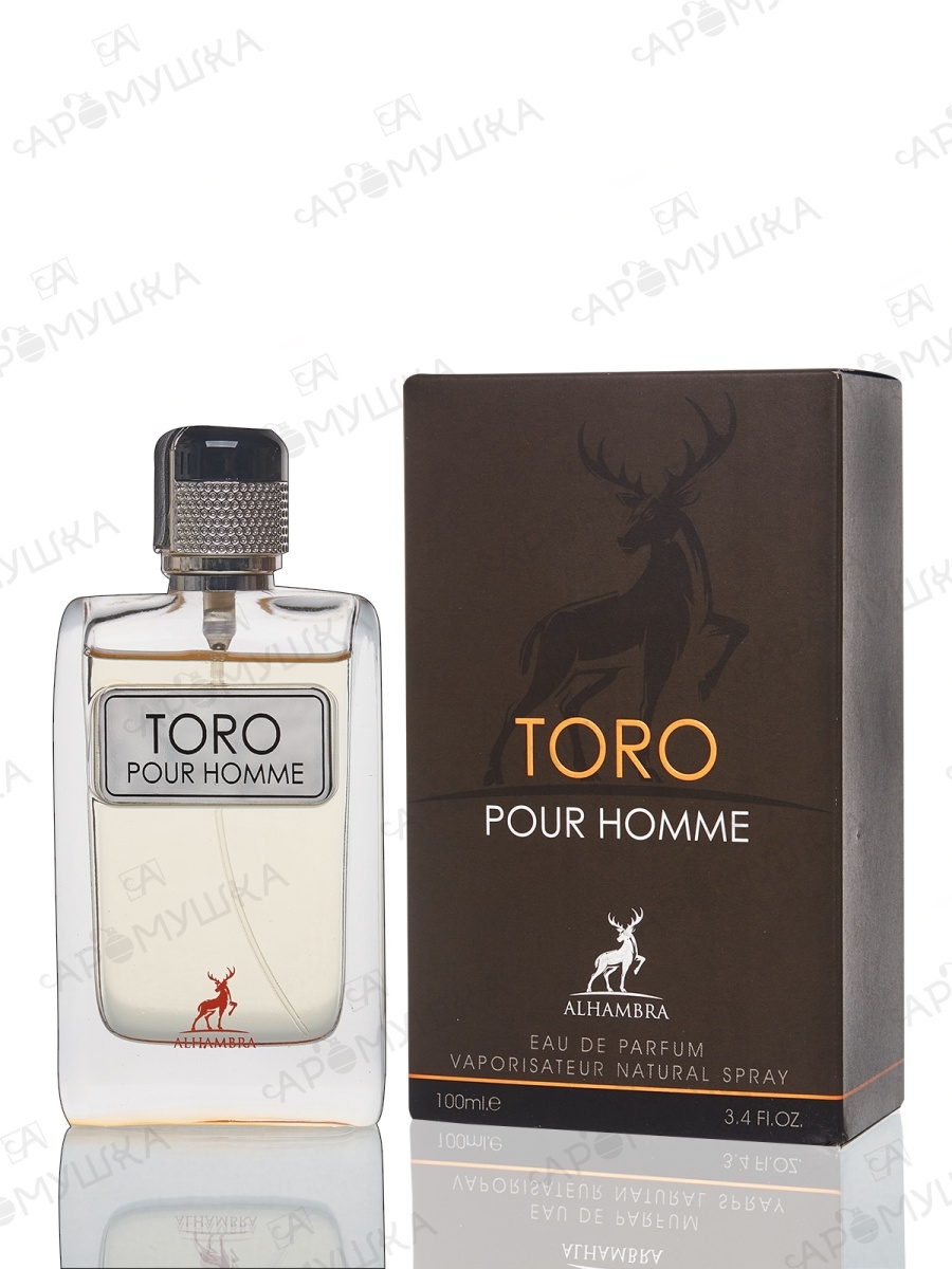 Toro pour homme. Spray Toro pour homme 100ml. Bonheur pour homme туалетная вода. Toro Alhambra.