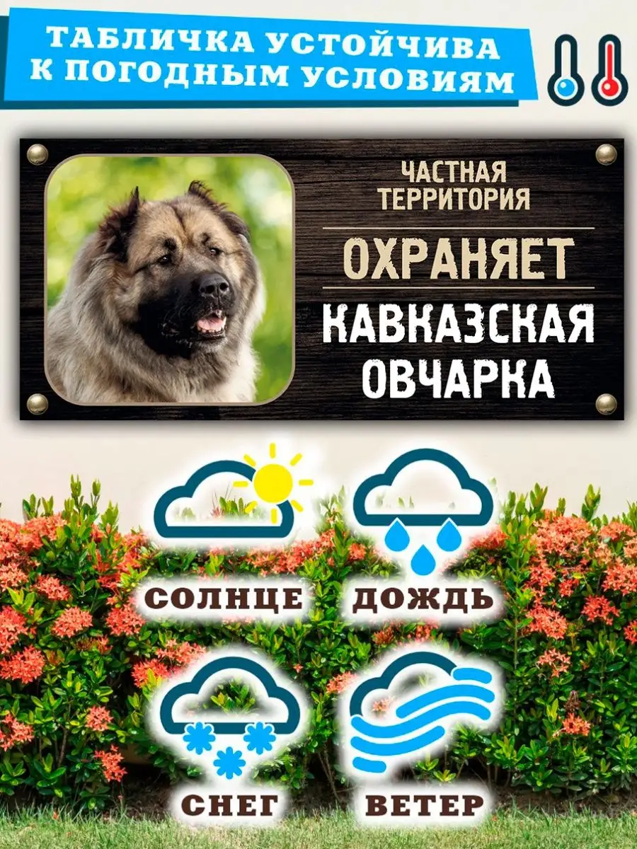 Табличка, Кавказская овчарка Злая собака 88807313 купить за 424 ₽ в  интернет-магазине Wildberries
