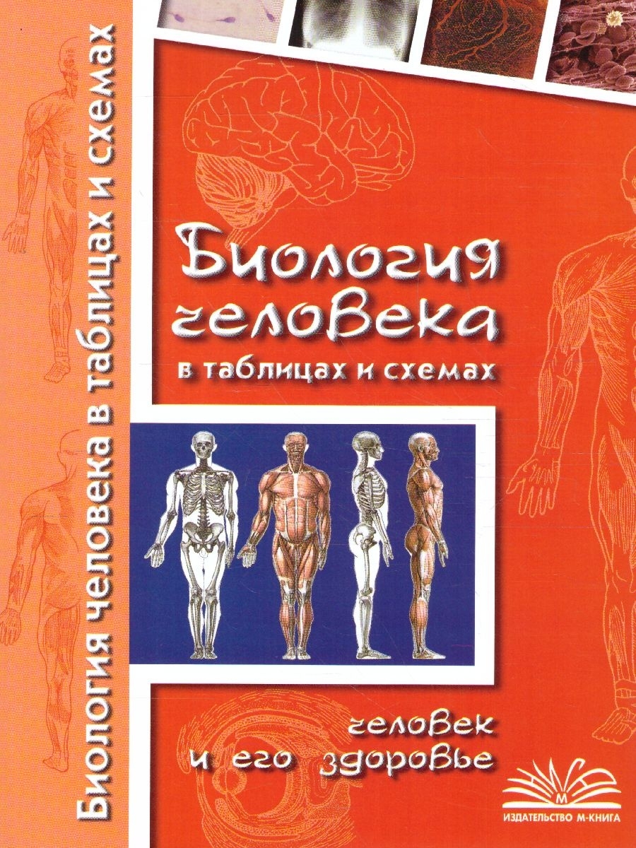 Биология человека. Биология человека в таблицах и схемах. Наталия Бодрова. Человек биология. Биология человека в таблицах и схемах человек и его здоровье. Биология человека в таблицах и схемах Бодрова.