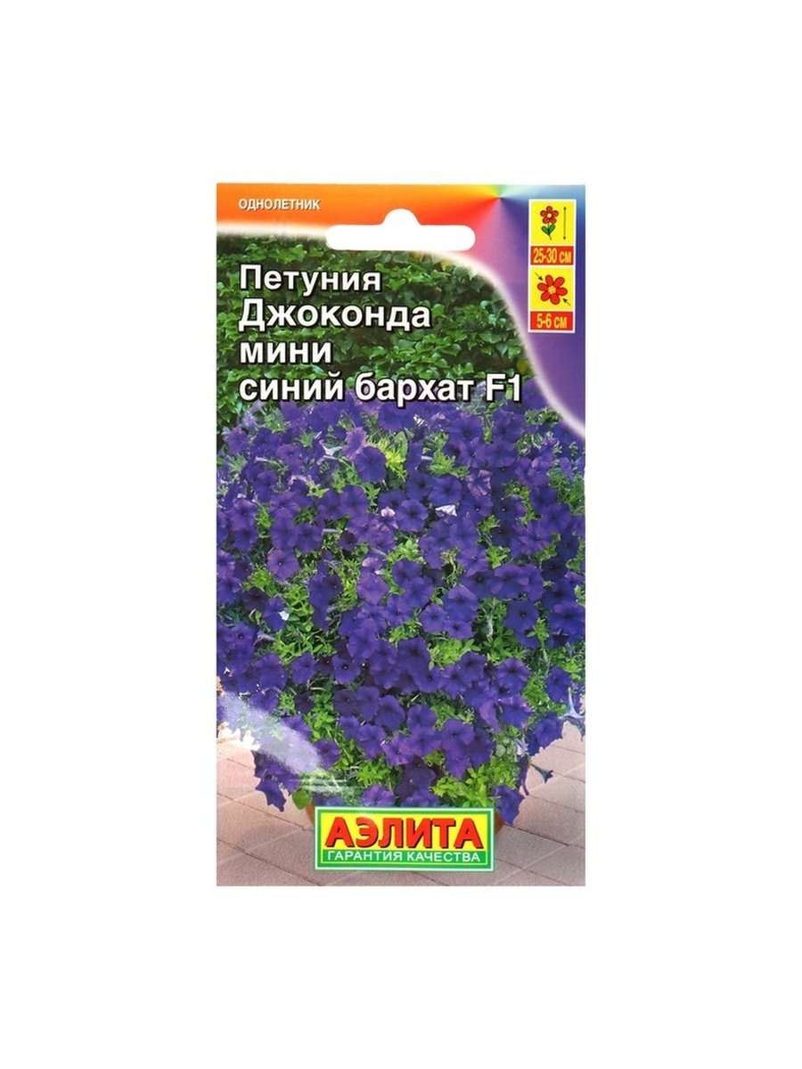 Петуния джоконда синяя фото