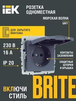 Розетка одноместная с з к с з ш и кр. 16А РСбш10-3-БрМ