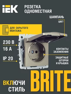 Розетка одноместная с з к с з ш и кр. 16А РСбш10-3-БрШ