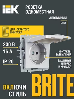 Розетка одноместная с з к с з ш и кр. 16А РСбш10-3-БрА