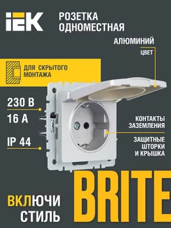 Розетка одноместная с з к с з ш и кр. 16А РСбш10-3-44-БрА