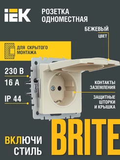 Розетка одноместная с з к с з ш и кр. 16А РСбш10-3-44-БрКр