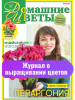 Комнатные растения. Пеларгония №7 22 бренд Домашние цветы продавец Продавец № 298858