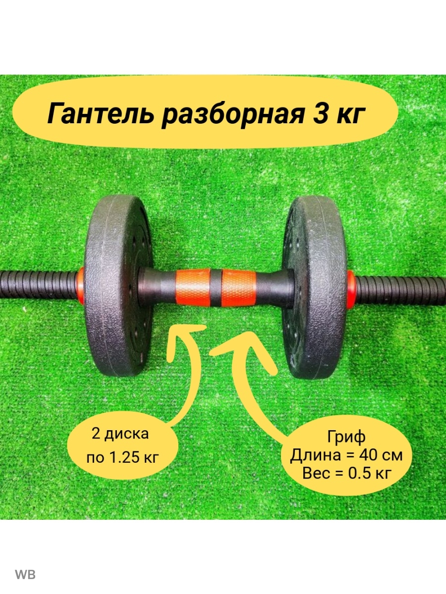 что лучше для груди штанга или гантели фото 75