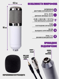 Звуковая карта для микрофона bm 800 с фантомным питанием