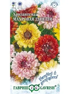 Хризантема Дунетти (0,5 г), 2 пакета