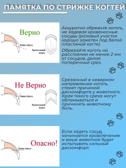 Как подстричь когти йорку в домашних условиях фото пошагово правильно