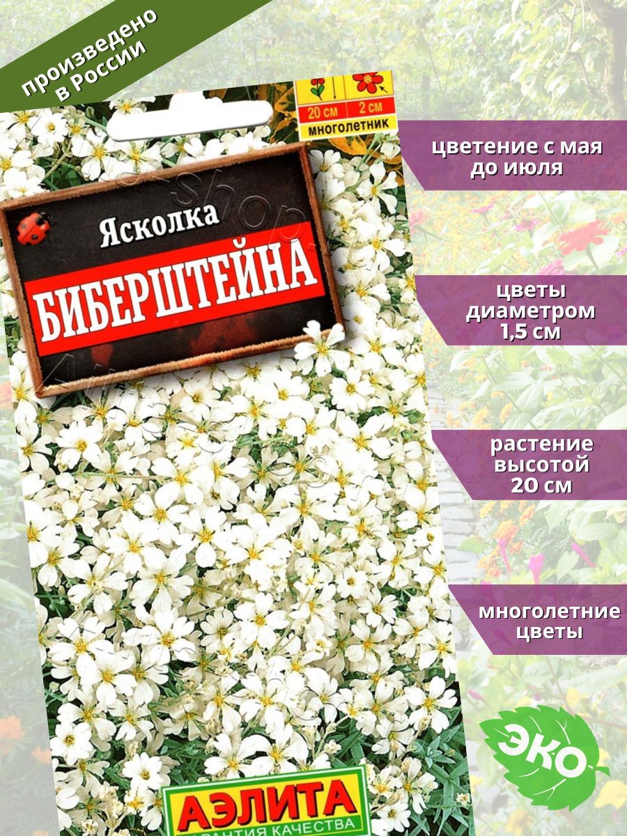 Цветы Ясколка Бибирштейна 