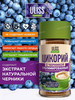 Цикорий Улисс с черникой, 85 г бренд ULISS продавец Продавец № 286227