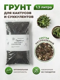 Грунт для суккулентов и кактусов