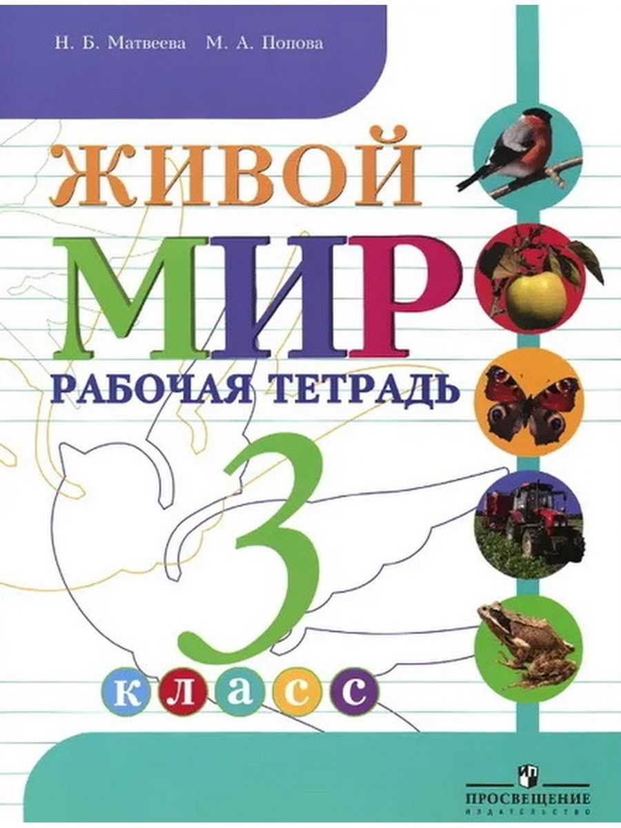 Мир 3 класс тетрадь. «Живой мир», н.б. Матвеева,. Мир природы и человека Матвеева 3 класс. Живой мир 3 класс учебник. Мир природы и человека учебник.