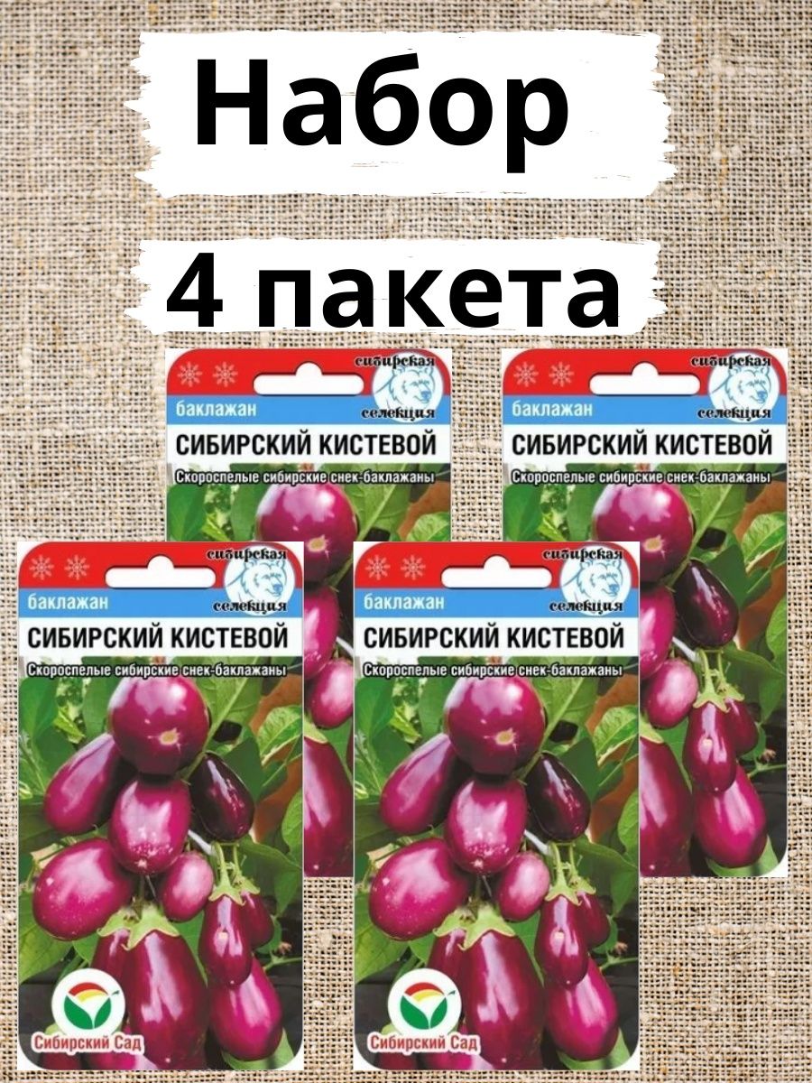 Баклажан сибирский кистевой. Сибирский сад семена баклажан. Баклажан Сибирский кистевой (СИБСАД). Баклажан Сибирский кистевой Сиб сад.