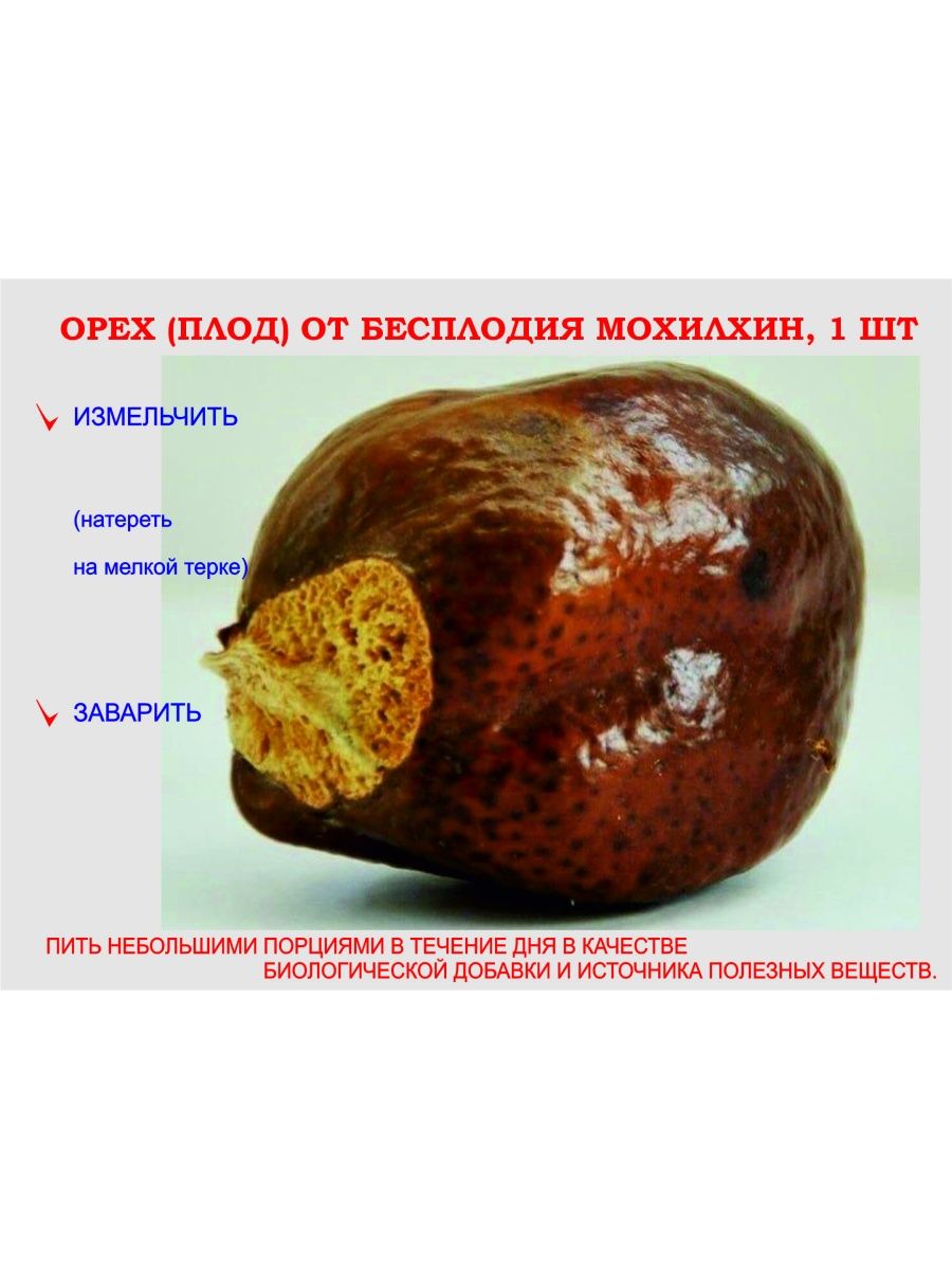 Орех мохилхин фото