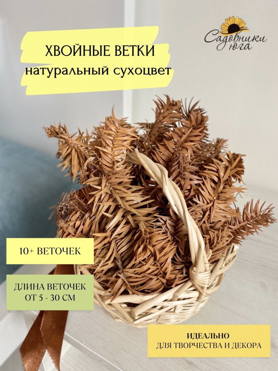 Веток рейтинг