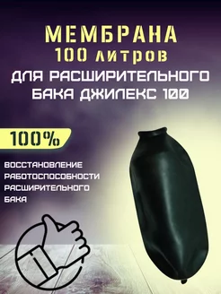 Мембрана для расширительного бака Джилекс 100