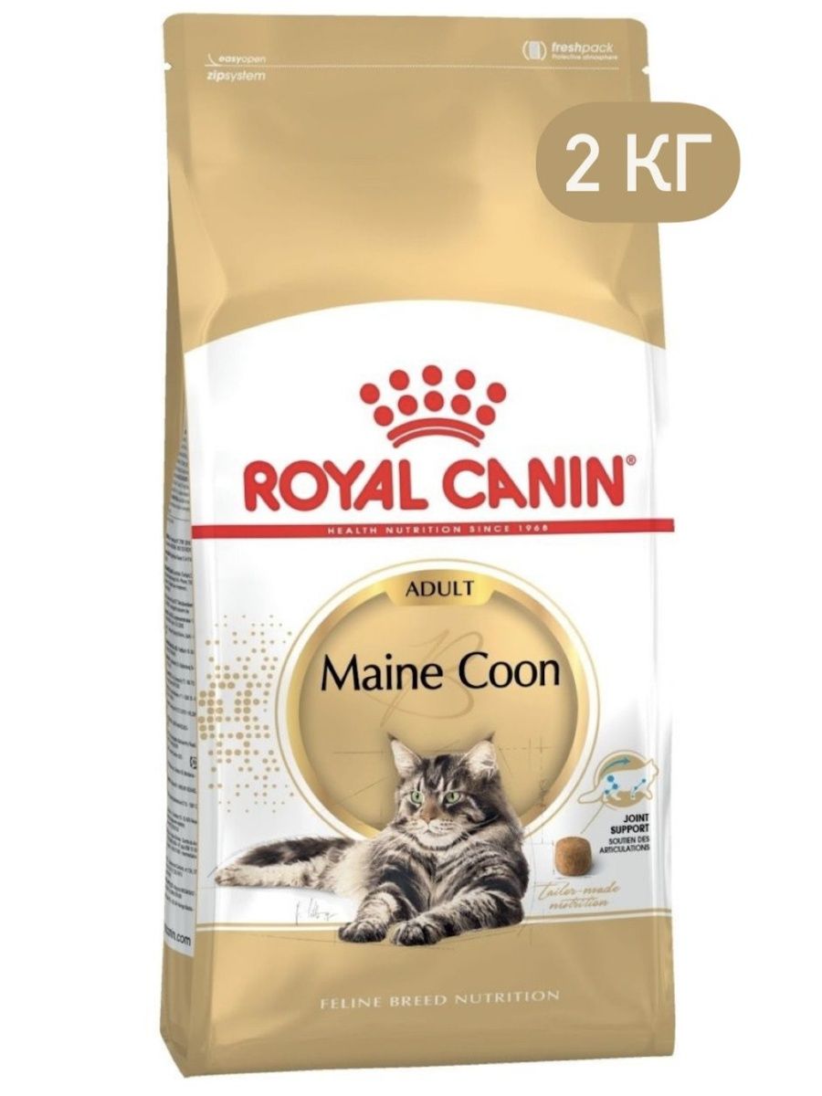 Royal canin maine coon