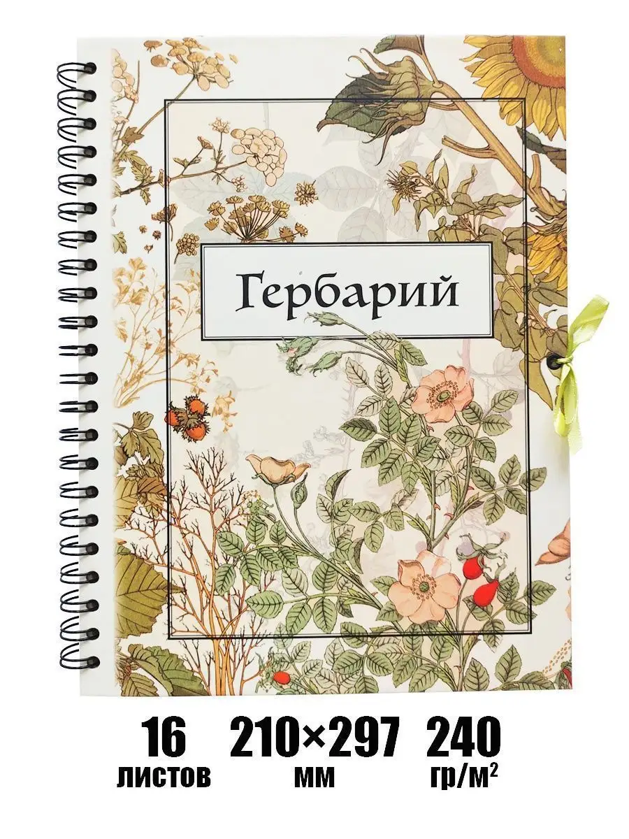 Альбом для гербария