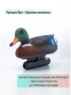 Чучело для охоты на птицу,подсадная утка,кряква селезень