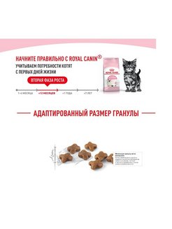 Какой корм для котят сфинксов