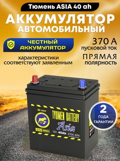 Tyumen Battery Лидер 6мтс 9