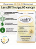 LactoBif пробиотики 5 млрд КОЕ 60 капсул лактобиф бренд California Gold Nutrition продавец Продавец № 922347