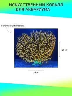 Коралл - растение для аквариума
