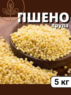 Пшено крупа