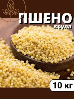 Пшено крупа