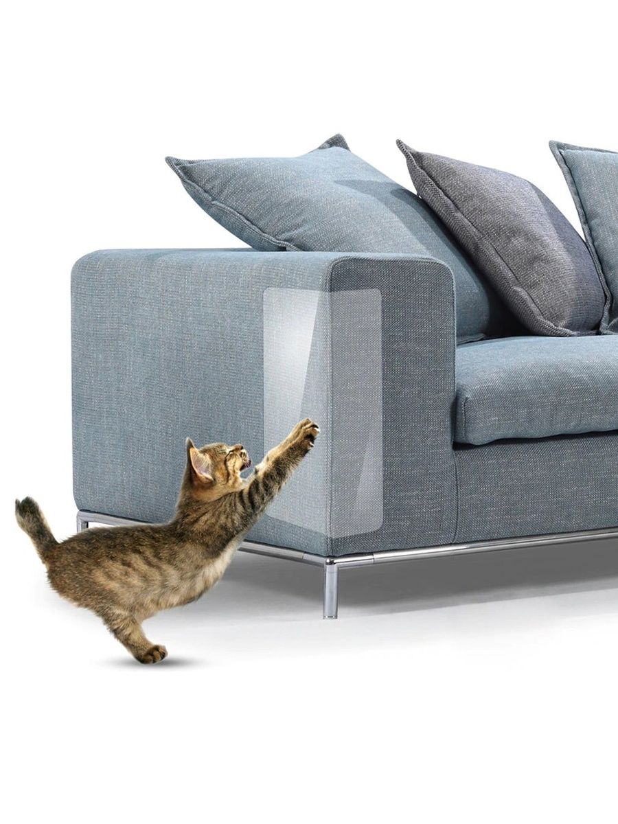 Как защитить диван от мочи кота