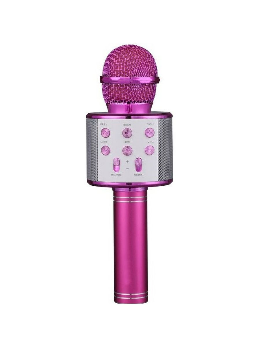 Можно микрофон. Микрофон Wster WS 858. Караоке микрофон Wster WS 858. Wireless Microphone WS-858. Микрофон-караоке fengchengjia Toys.