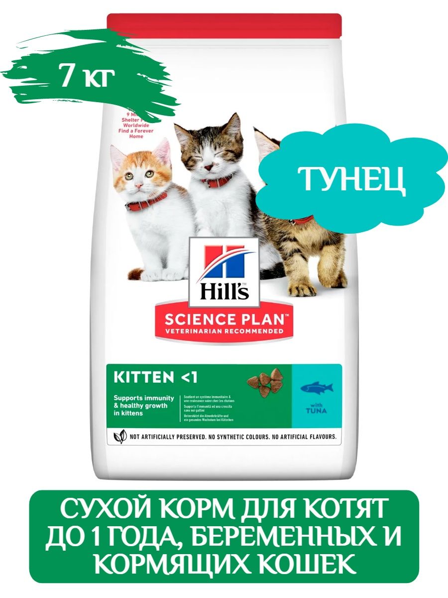 Корм хиллс для котят