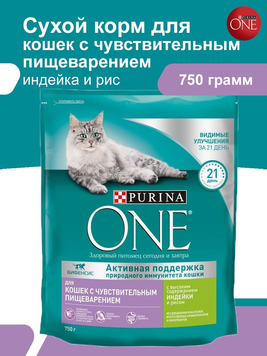 Корм для кошек пурина one