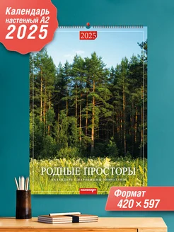 Настенный календарь на 2025 год